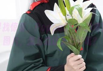在线寻找惊喜，PoppaChan的博丽灵梦图片，怎么总让人心动呢？