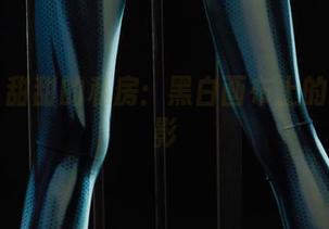 丽柜 – 甜甜的私房：黑白画布上的调皮光影