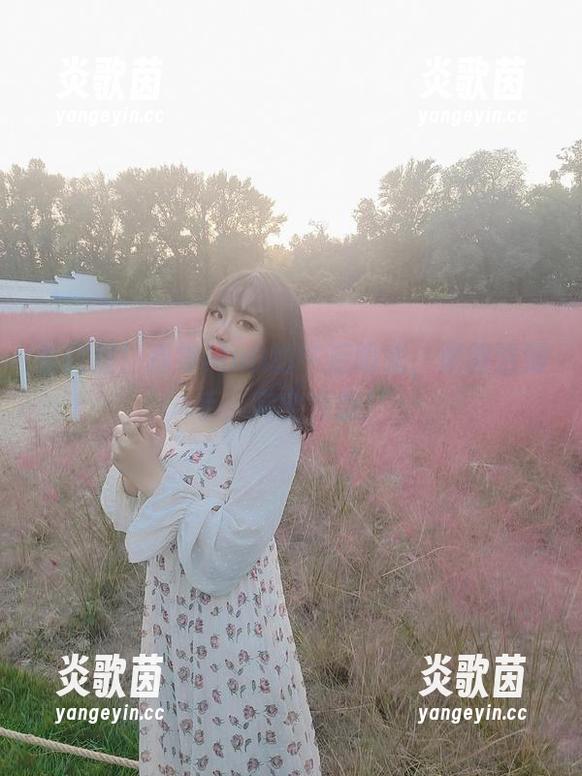 穆零Mu0 看这里!穆零Mu0的午后阳光,原图送到手,完全免费!
