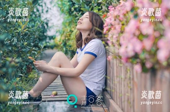 青豆客 - Kiren_程程程居家的艺术：最新图库里藏着哪些惊喜？